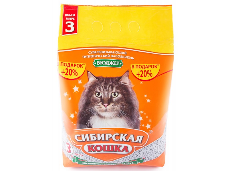 Сибирская кошка бюджет  3л		