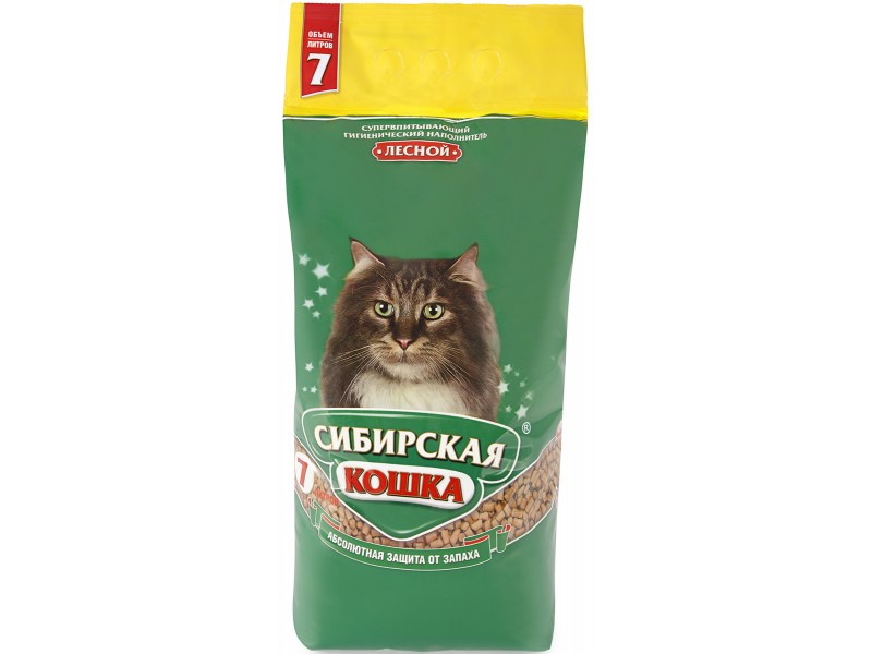 Сибирская кошка лесной  7л		